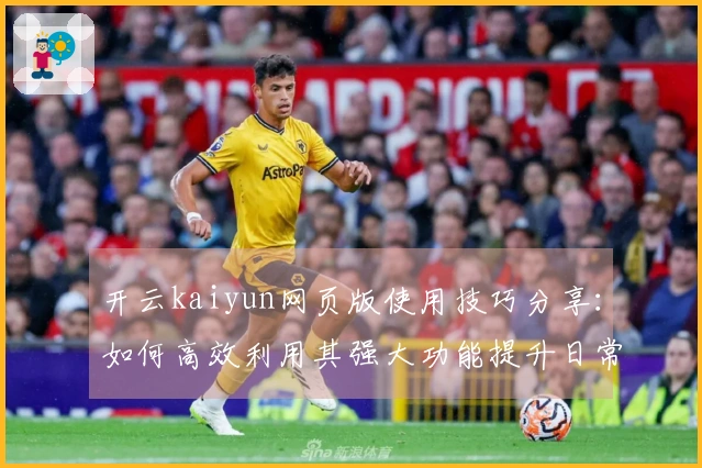 开云kaiyun网页版使用技巧分享：如何高效利用其强大功能提升日常工作效率