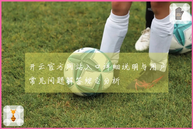 开云官方网站入口详细说明与用户常见问题解答综合分析